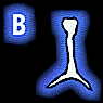 Dchirure B